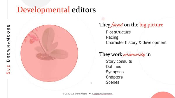 The main responsibilities of developmental editors in fiction